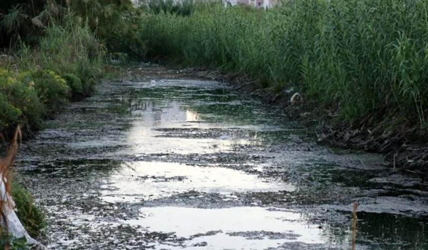 Antalya'da zehirli su onları bitirdi