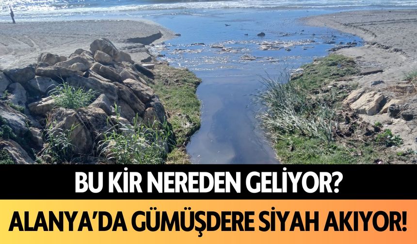 Bu kir nereden geliyor? Alanya'da Gümüşdere siyah akıyor!