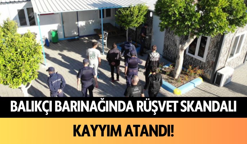 Balıkçı barınağında rüşvet skandalı! Kayyım atandı