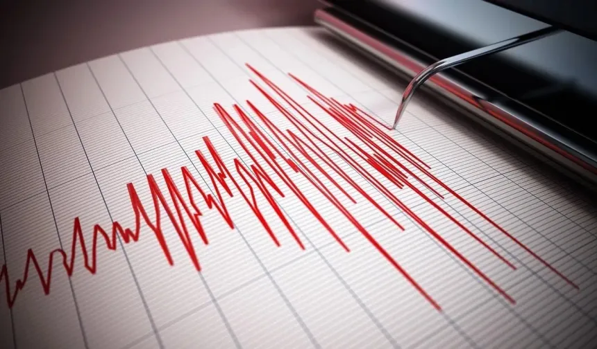 Deprem riski az deniyordu: Rize sallandı