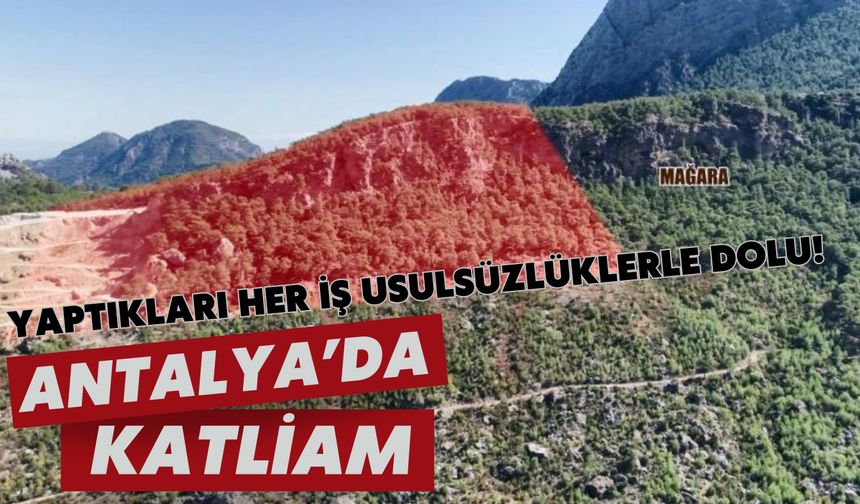 Yaptıkları her iş usulsüzlüklerle dolu! Antalya'da katliam