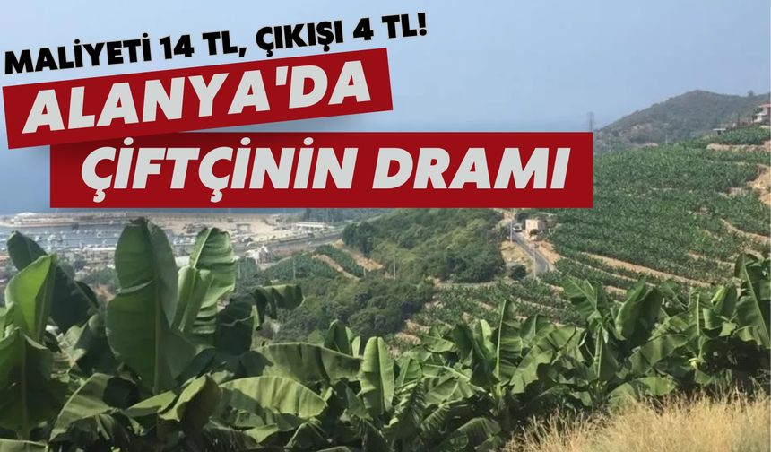 Alanya'da çiftçinin dramı: Maliyeti 14 TL, çıkışı 4 TL!