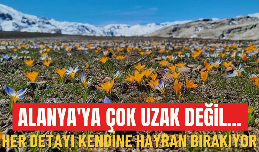 Alanya'ya çok uzak değil... Her detayı kendine hayran bırakıyor