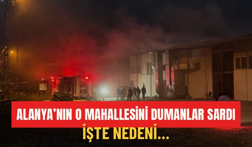 Alanya’nın o mahallesini dumanlar sardı!