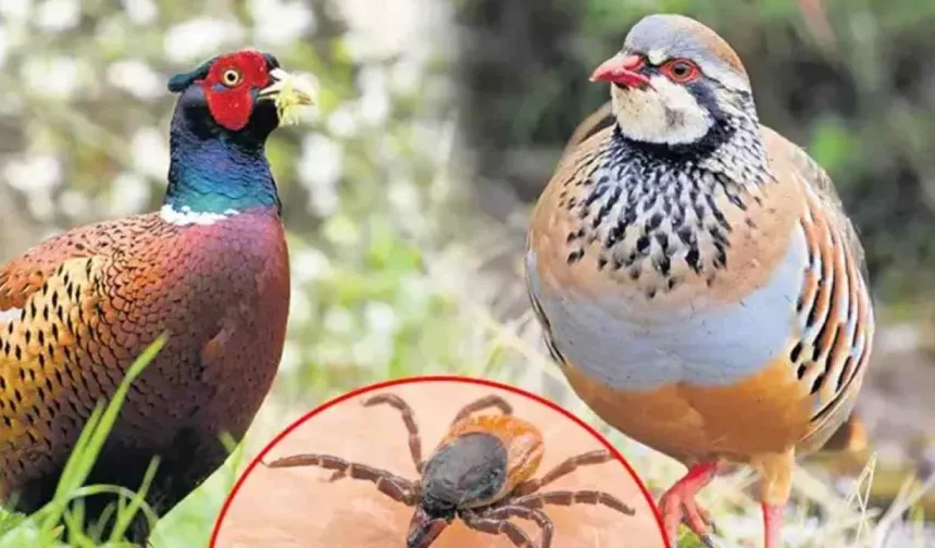 Antalyalılar dikkat! Doğada bu hatayı sakın yapmayın