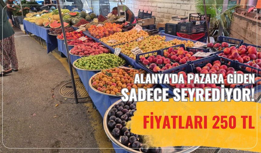 Alanya'da pazara giden sadece seyrediyor! Fiyatları 250 TL