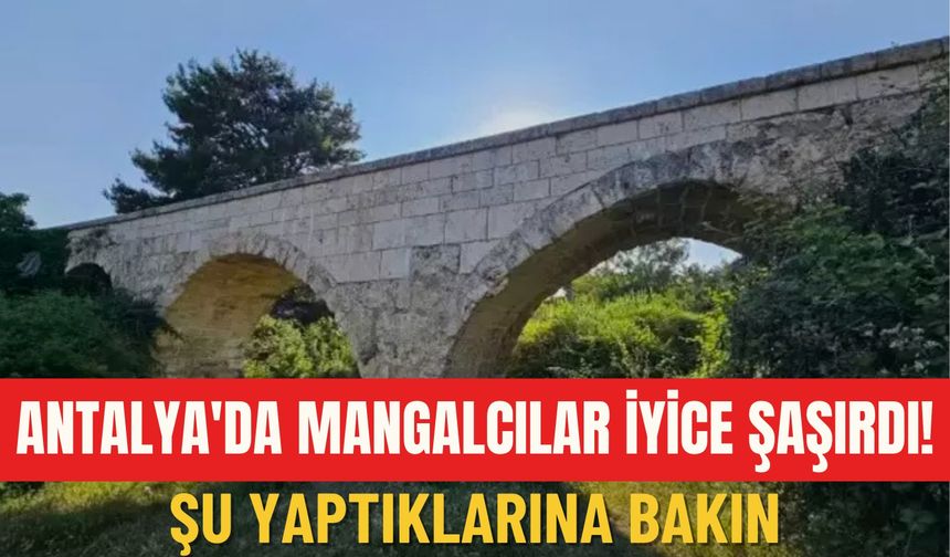 Antalya'da mangalcılar iyice şaşırdı! Şu yaptıklarına bakın