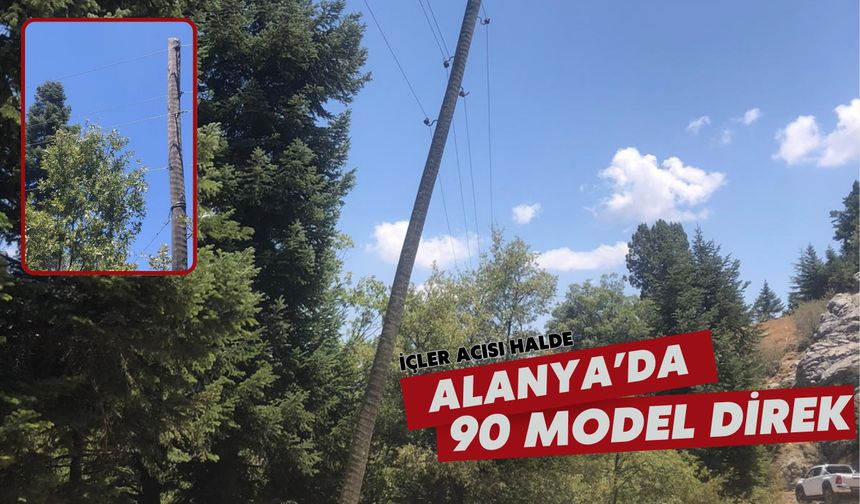 Alanya'da 90 model direk: Hali içler acısı