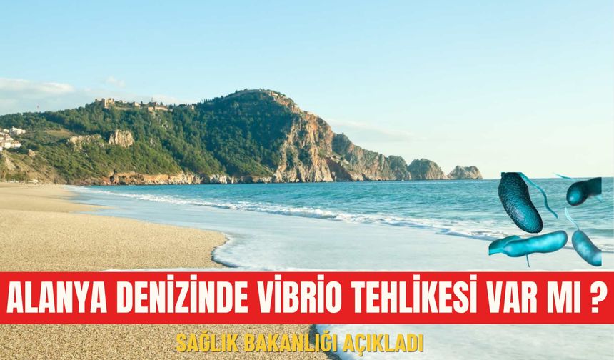 Alanya denizinde Vibro tehlikesi var mı?