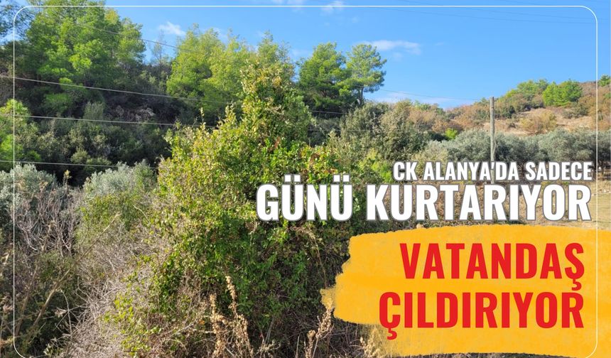 CK Alanya'da sadece günü kurtarıyor: Vatandaş çıldırıyor