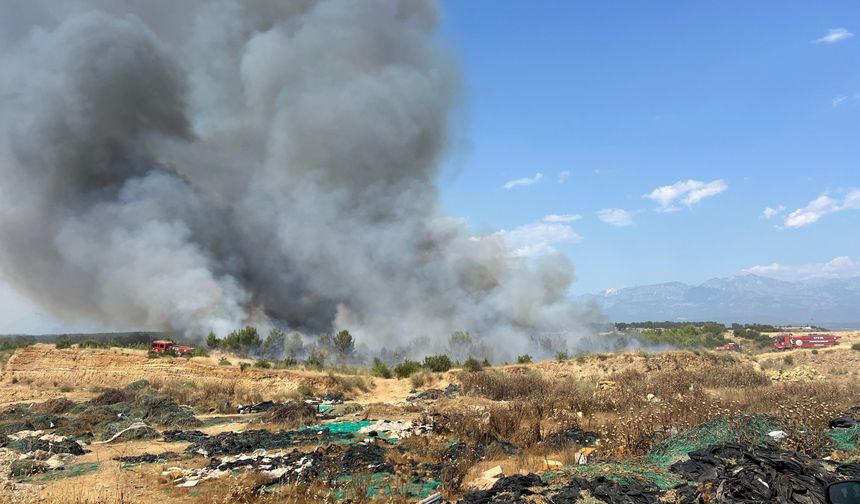Son Dakika! Aksu'da orman yangını: Havadan karadan müdahale