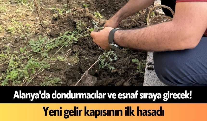 Alanya'da dondurmacılar ve esnaf sıraya girecek! Yeni gelir kapısının ilk hasadı