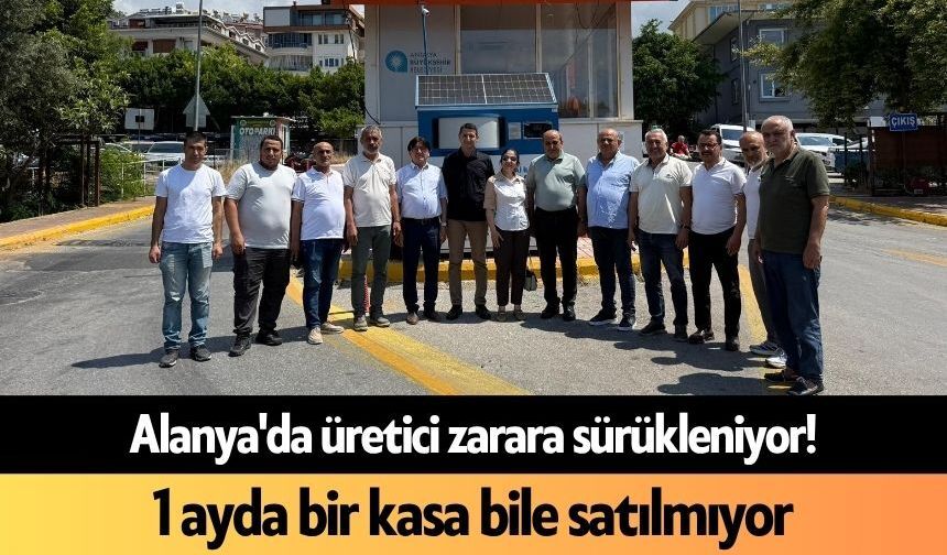 Alanya'da üretici zarara sürükleniyor! 1 ayda bir kasa bile satılmıyor