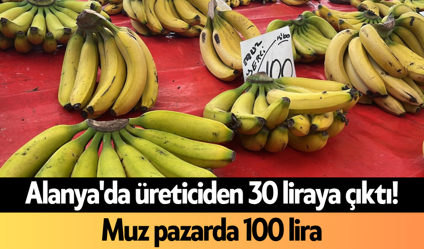 Alanya'da üreticiden 30 liraya çıktı! Muz pazarda 100 lira