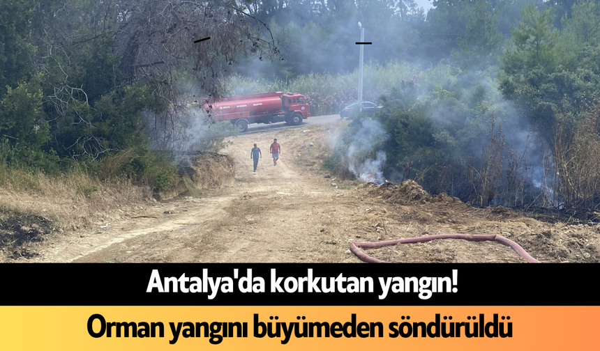 Antalya'da korkutan yangın! Orman yangını büyümeden söndürüldü