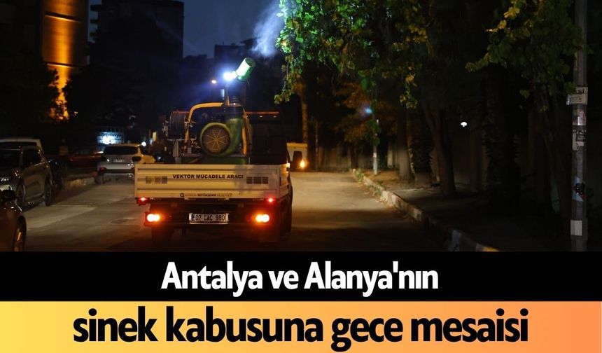 Antalya ve Alanya'nın sinek kabusuna gece mesaisi