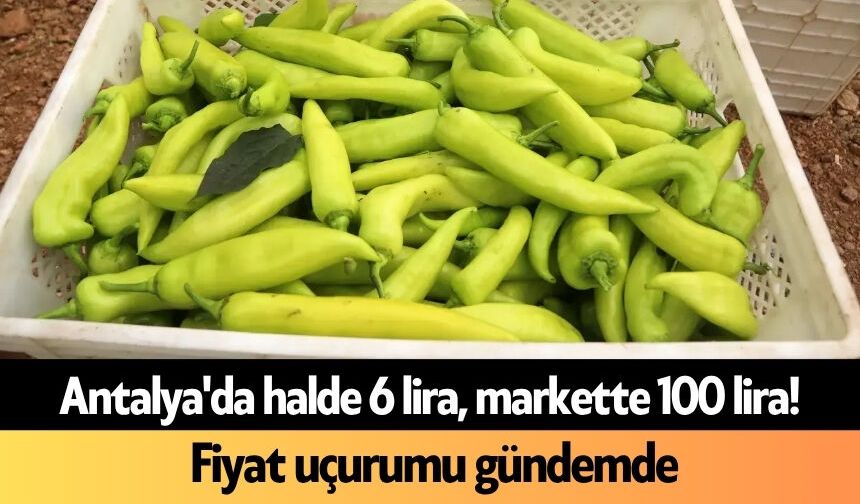 Antalya'da halde 6 lira, markette 100 lira! Fiyat uçurumu gündemde