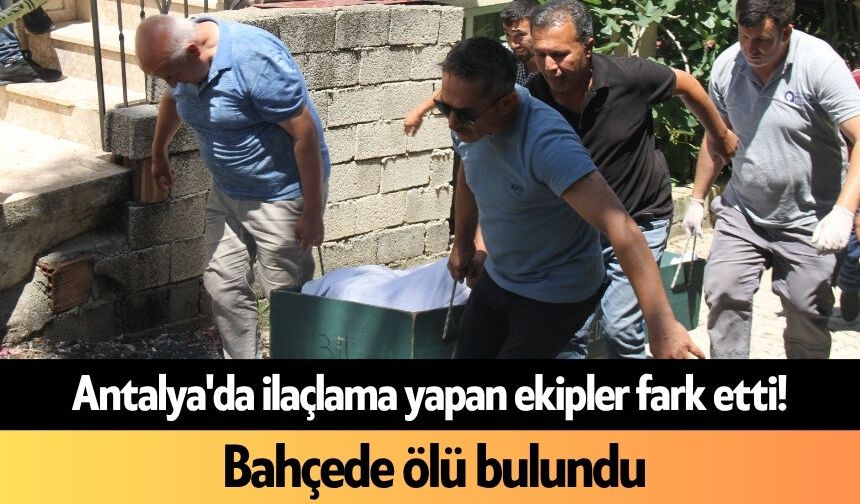 Antalya'da ilaçlama yapan ekipler fark etti! Bahçede ölü bulundu