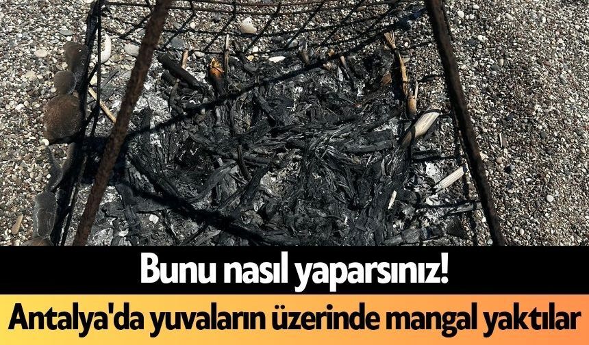 Bunu nasıl yaparsınız! Antalya'da yuvaların üzerinde mangal yaktılar