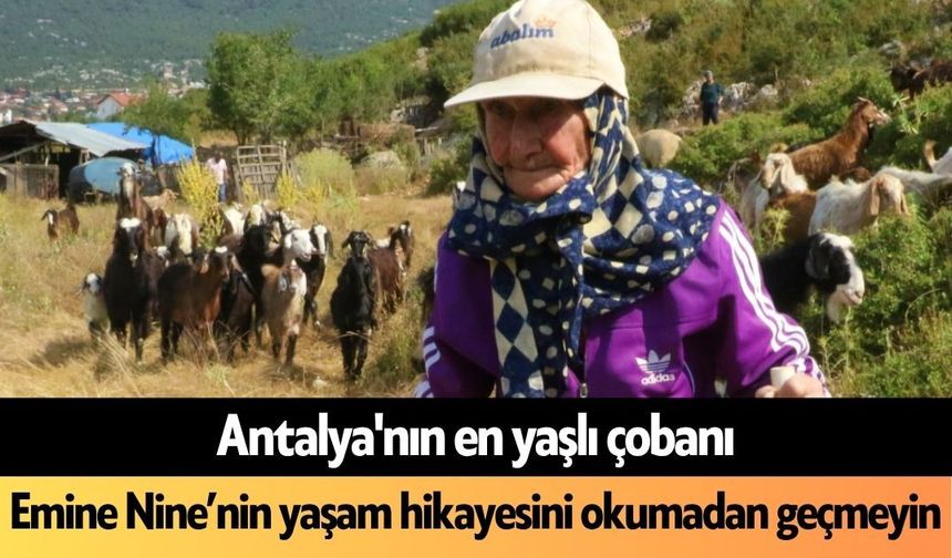 Antalya'nın en yaşlı çobanı: Emine Nine’nin hikayesini okumadan geçmeyin
