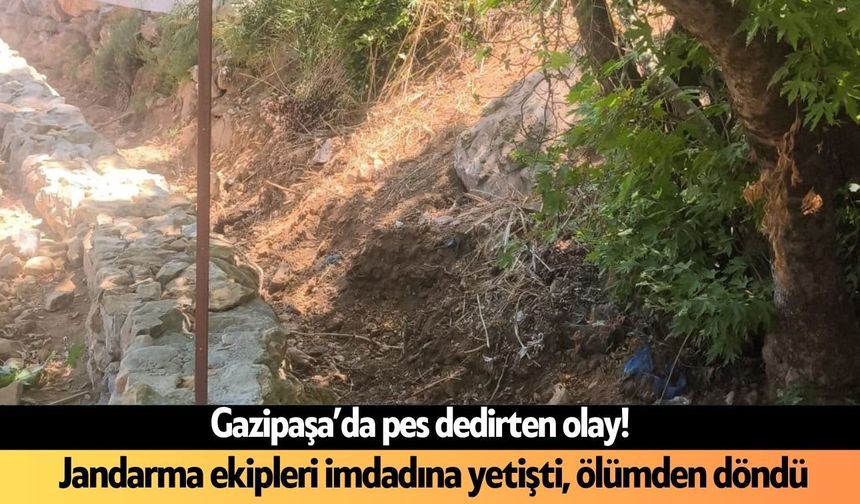 Gazipaşa'da pes artık dedirtti: Jandarma ekipleri imdadına yetişti