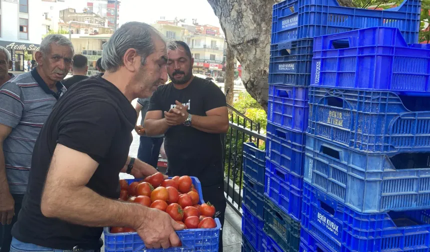 Serik'te üretici alıcı bulamayınca 4 ton domatesi dağıttı