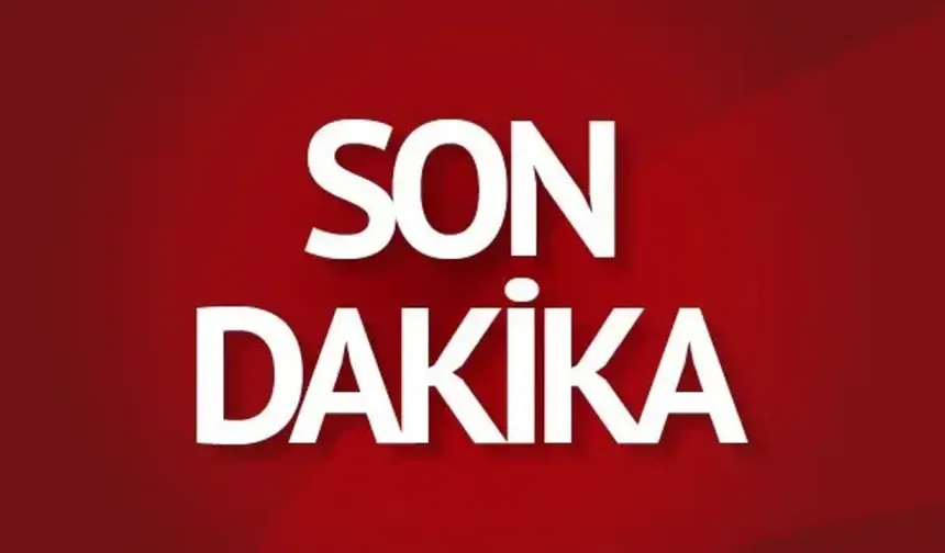 Gazipaşa'da ormanlık alanda yangın çıktı