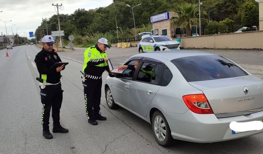 Alanya’da her an karşınıza çıkabilirler! Araçlar otoparka çekiliyor