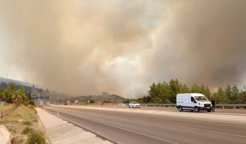 Son Dakika! Antalya'da bir orman yangını daha
