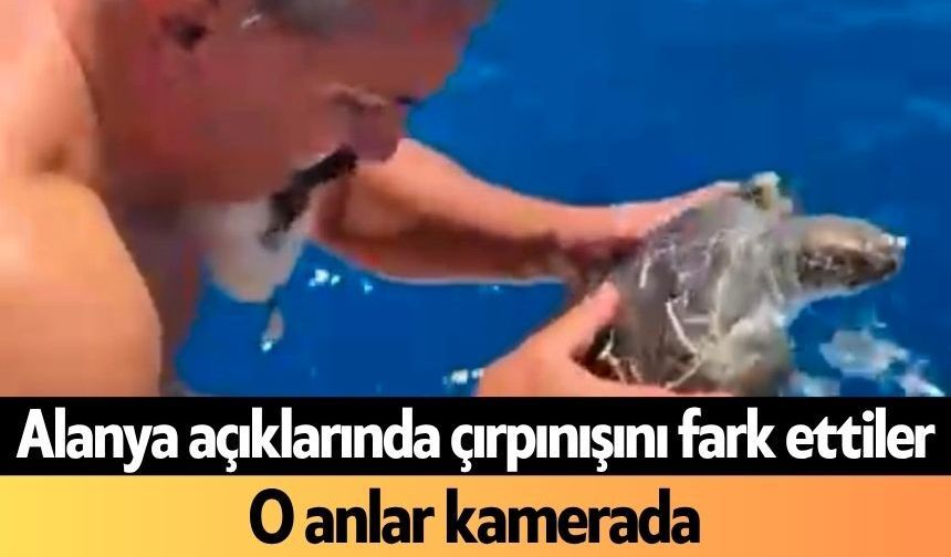 Alanya açıklarında çırpınışını fark ettiler: O anlar kamerada