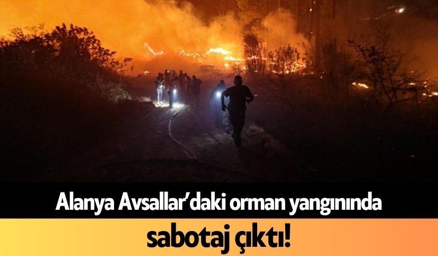 Alanya Avsallar’daki orman yangınında sabotaj çıktı!