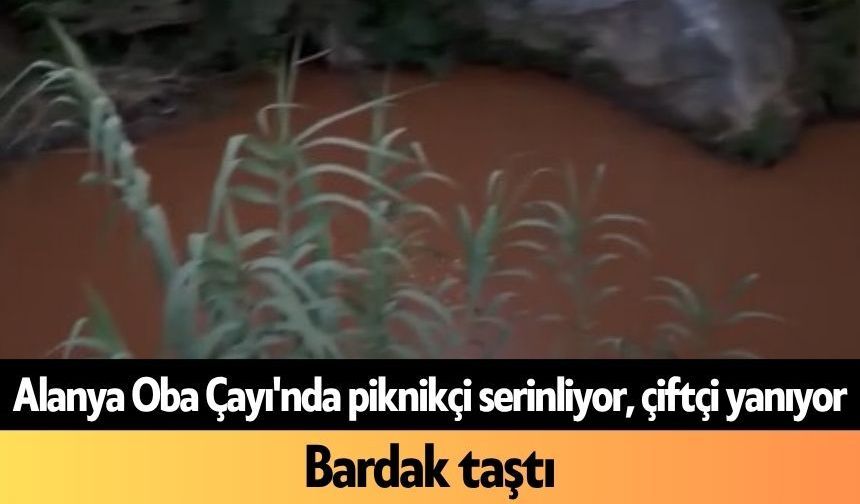 Alanya Oba Çayı'nda piknikçi serinliyor, çiftçi yanıyor: Bardak taştı
