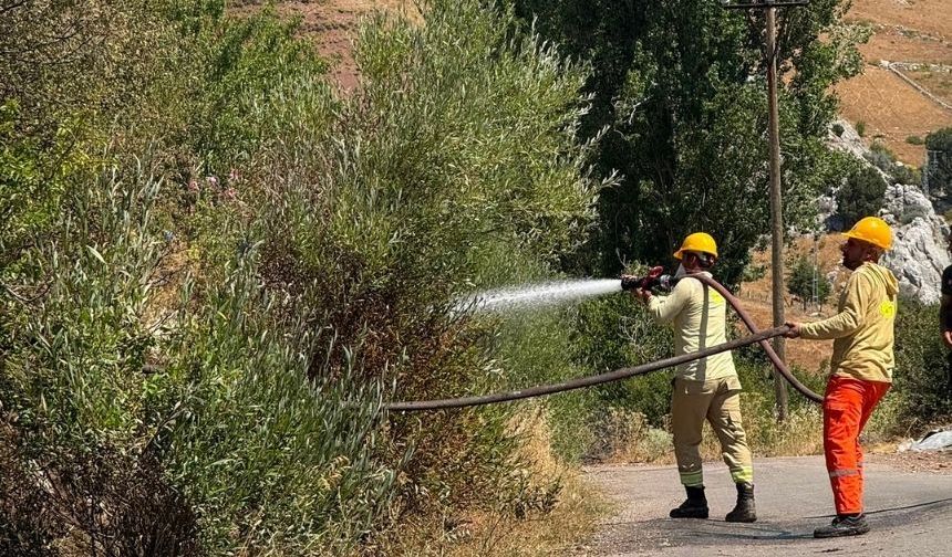 Alanya'da yangın paniği! Ekiplerden anında müdahale