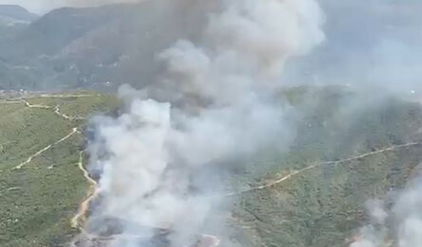 Son dakika! Alanya Sapadere'de orman yangını başladı