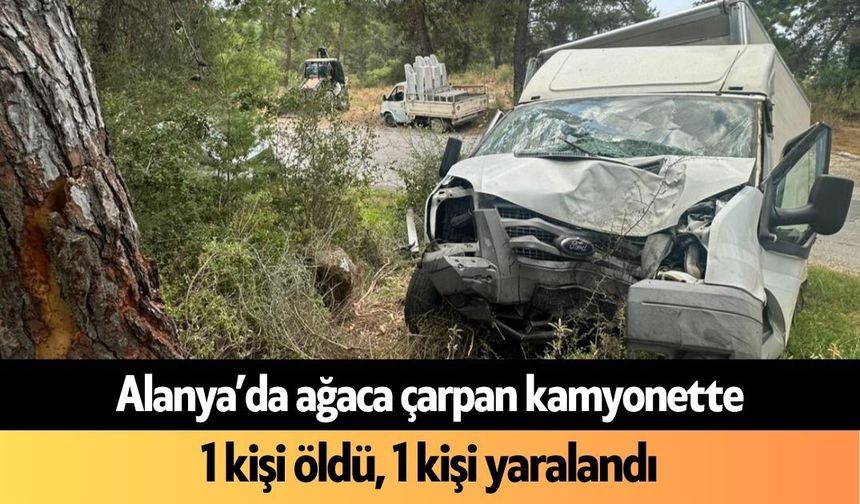 Alanya’da ağaca çarpan kamyonette 1 kişi öldü, 1 kişi yaralandı