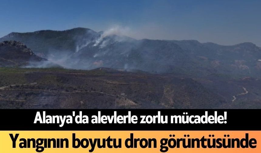 Alanya'da alevlerle zorlu mücadele! Yangının boyutu dron görüntüsünde