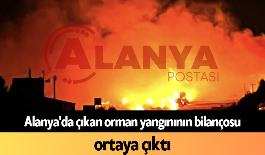 Alanya'da çıkan orman yangınının bilançosu ortaya çıktı