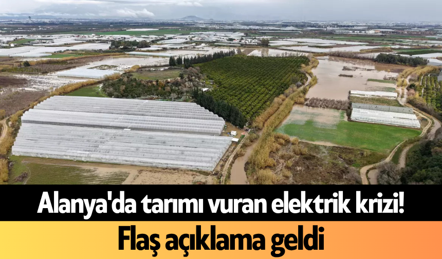 Alanya'da tarımı vuran elektrik krizi! Flaş açıklama geldi
