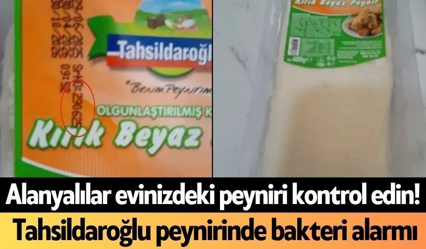 Alanyalılar evinizdeki peyniri kontrol edin! Tahsildaroğlu peynirinde bakteri alarmı