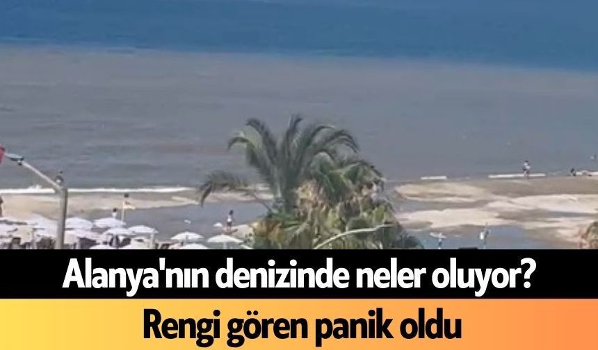 Alanya'nın denizinde neler oluyor?