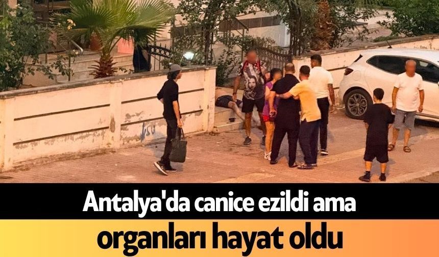 Antalya'da canice ezildi ama organları hayat oldu