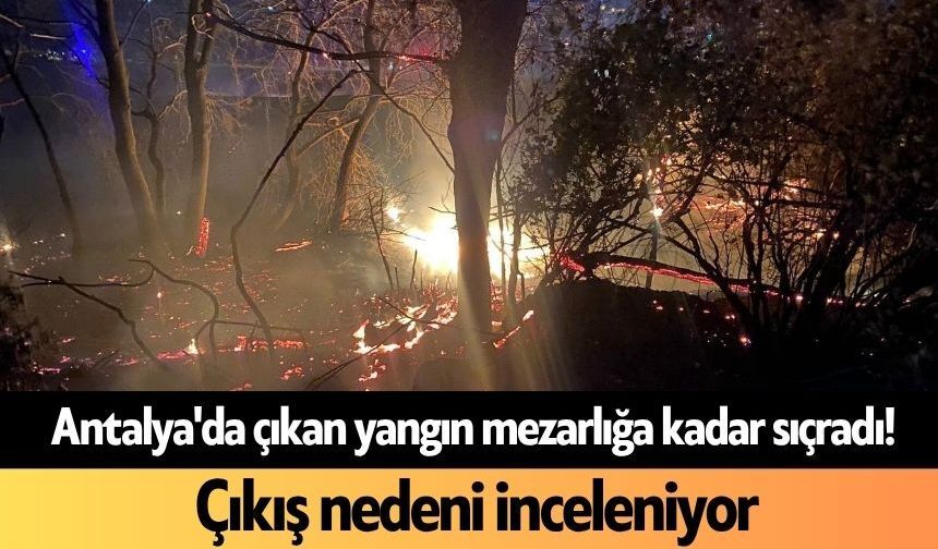 Antalya'da çıkan yangın mezarlığa kadar sıçradı! Çıkış nedeni inceleniyor