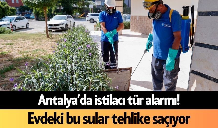 Antalya’da istilacı tür alarmı! Evdeki bu sular tehlike saçıyor