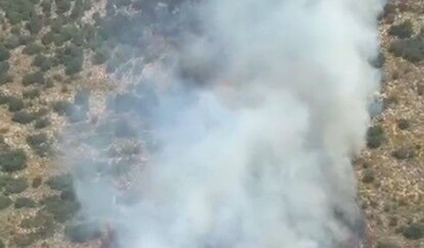 Antalya'da orman yangını! 5 helikopter, 4 uçak müdahale ediyor