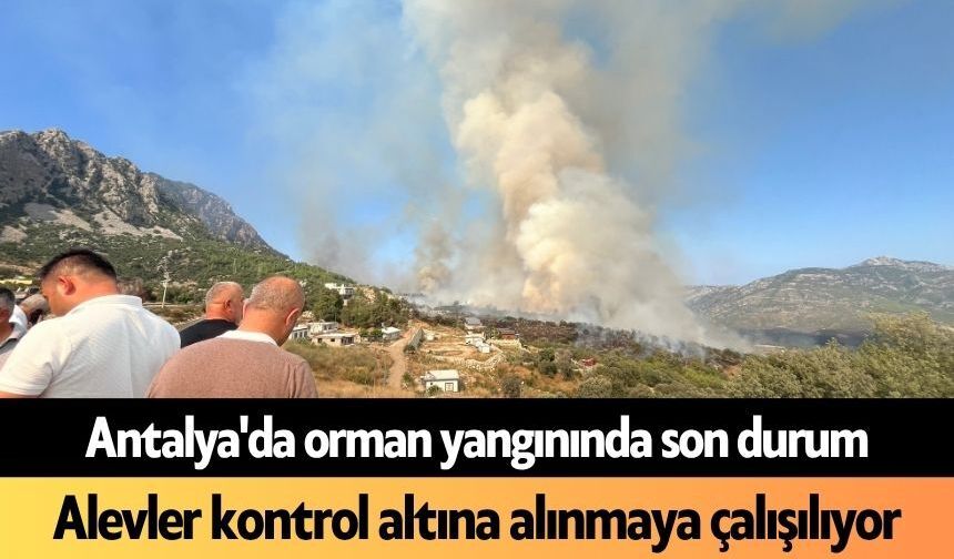 Antalya'da orman yangınında son durum