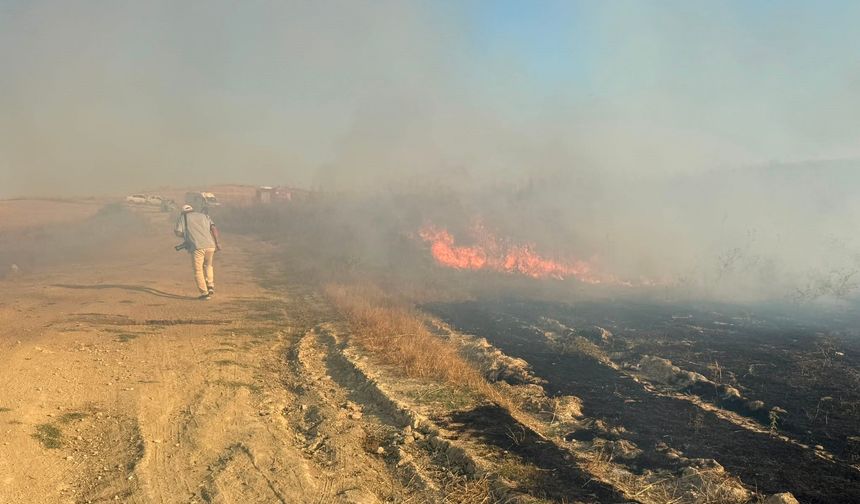 Antalya'da rüzgar alevleri kısa sürede büyüttü