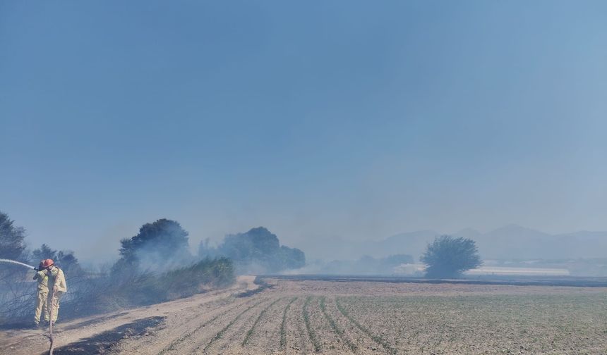 Antalya'da rüzgarın etkisiyle yangın yayıldı