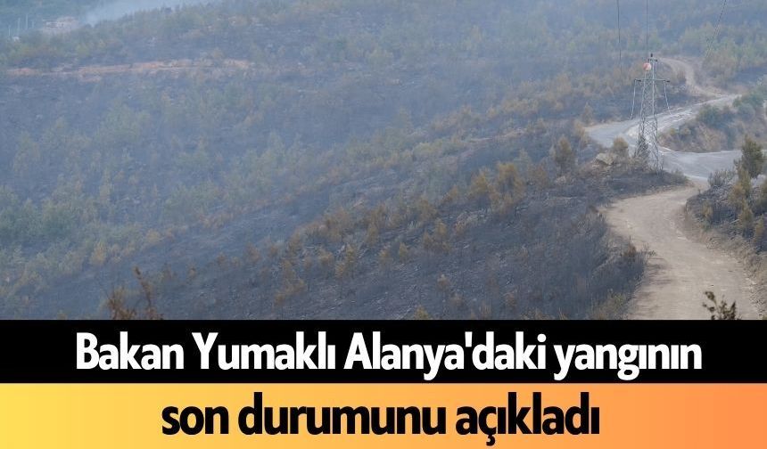 Bakan Yumaklı Alanya'daki yangının son durumunu açıkladı