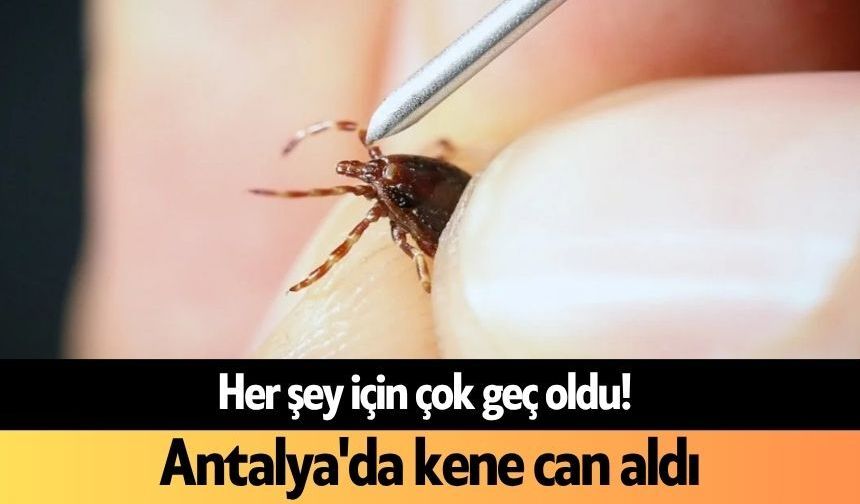 Antalya'da kene can aldı! Acı haber geldi