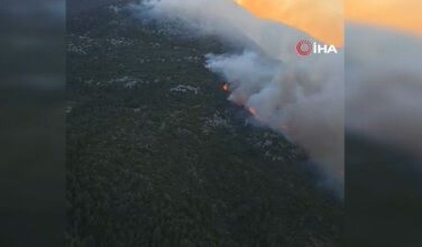 Son dakika! Antalya'da orman yangın çıktı